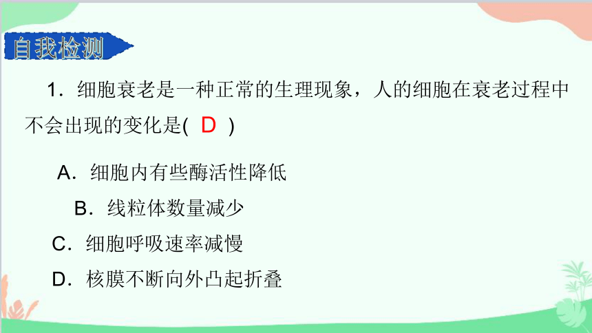 生物人教版(2019)必修1 第6章 细胞的生命历程 第3节细胞的衰老和死亡课件(共74张PPT)