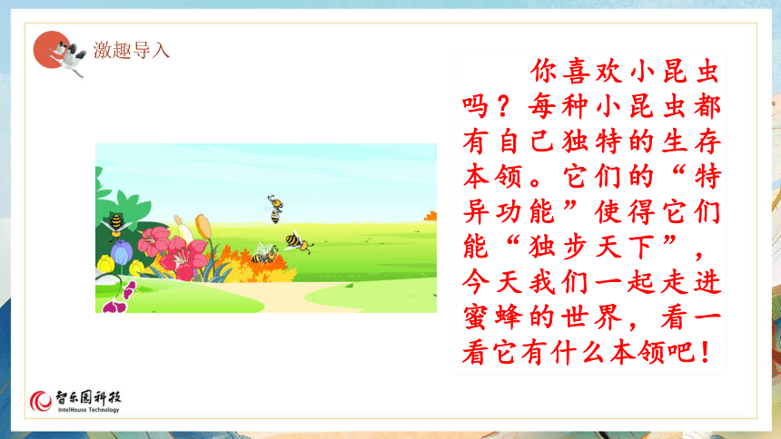 14蜜蜂（智乐园课件）