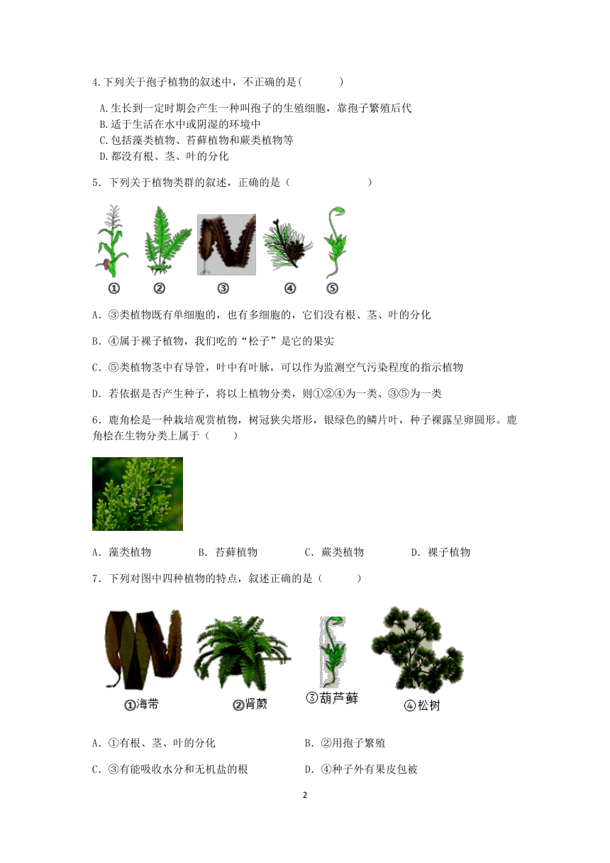 浙教版科学2022-2023学年上学期七年级“一课一练”：2.5常见的植物（2）【word，含解析】