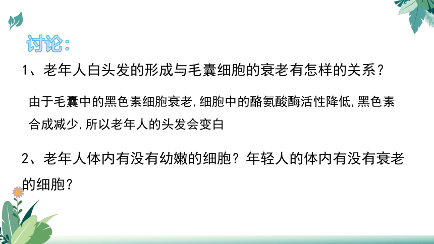 高中生物人教版（2019）必修1-6.3细胞的衰老和死亡（教学课件）（39张ppt）