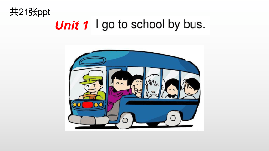 Unit1  I go to school by bus period2课件 （共21张PPT)
