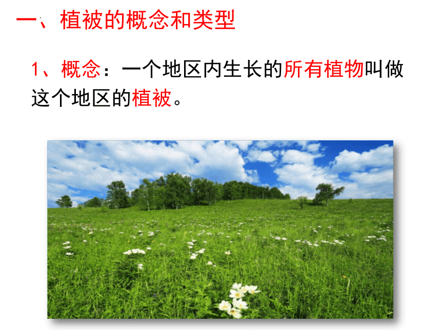 第六章  爱护植被 绿化祖国课件(共21张PPT)2022-2023学年人教版七年级生物上册