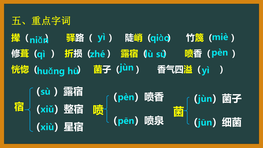 部编版语文七年级下册第四单元知识梳理 课件   (共65张PPT)