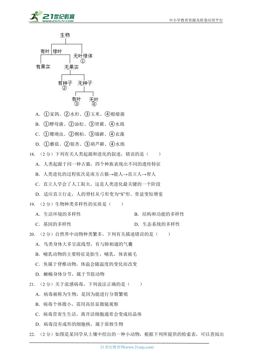 苏教版生物八年级上册期中模拟检测题（二）（含解析）