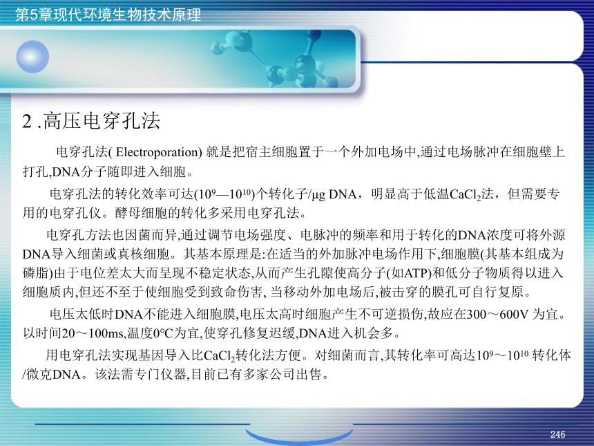 5.现代环境生物技术原理_9 课件(共27张PPT）- 《环境生物化学》同步教学（机工版·2020）