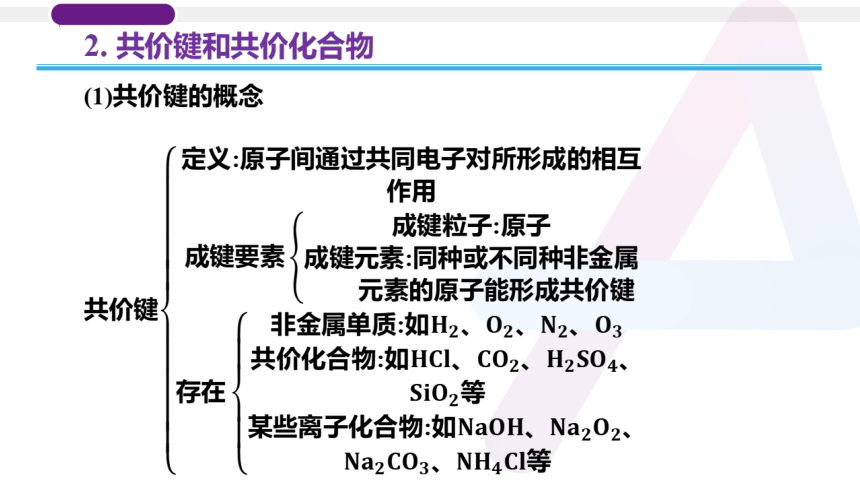 2023年普通高中化学学业水平考试学考复习——专题10　化学键（18张ppt）
