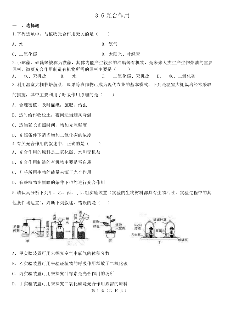 3.6 光合作用 同步练习（含解析）