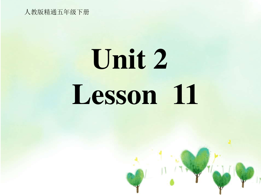Unit 2 Can I help you ? Lesson 11 课件 (共29张PPT)