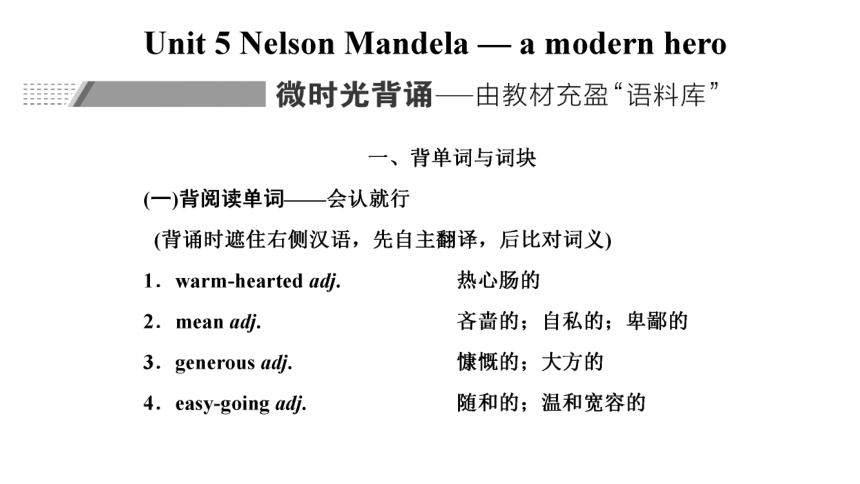 人教版（新课程标准） 必修一Unit 5  Nelson Mandela — a modern hero复习课件(共66张PPT)