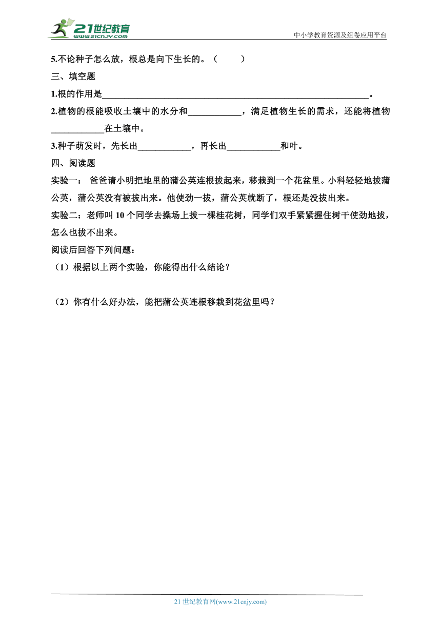 教科版四年级科学下册1.3种子长出了根同步练习(含答案)