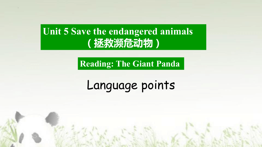 Unit 5 The giant panda Reading 语言点课件(共20张PPT)2022-2023学年牛津深圳版（广州沈阳通用）八