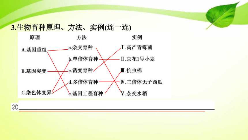 高考生物专题课件19：染色体变异与育种（共68张PPT）