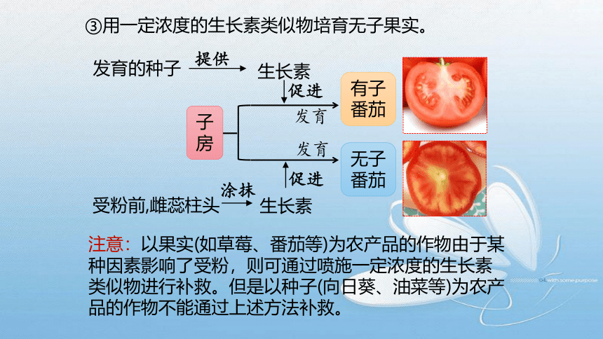 2021-2022学年高二上学期生物人教版(2019)选择性必修1.5.3 植物生物调节剂的应用课件1(33张ppt）