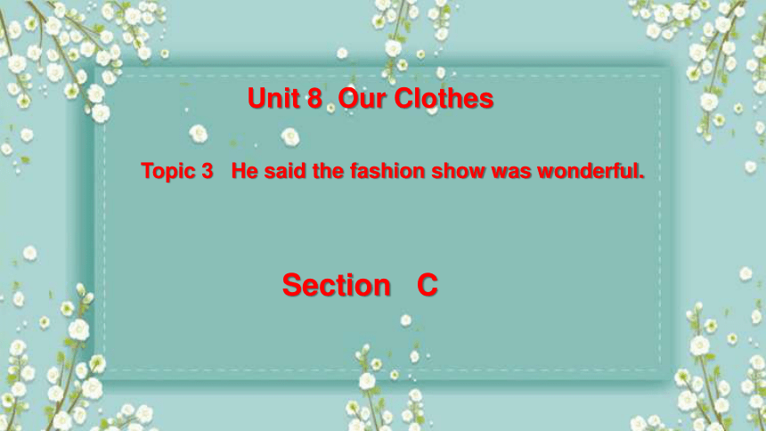 Unit 8 Topic 3 He said the fashion show was wonderful.Section C 课件(共18张PPT) 2022-2023学年仁爱版英语八年级下册