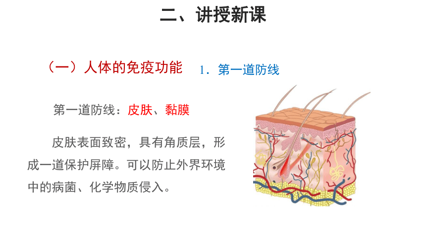 苏教版八年级下册 第三节 免疫 教学课件（共20张PPT）