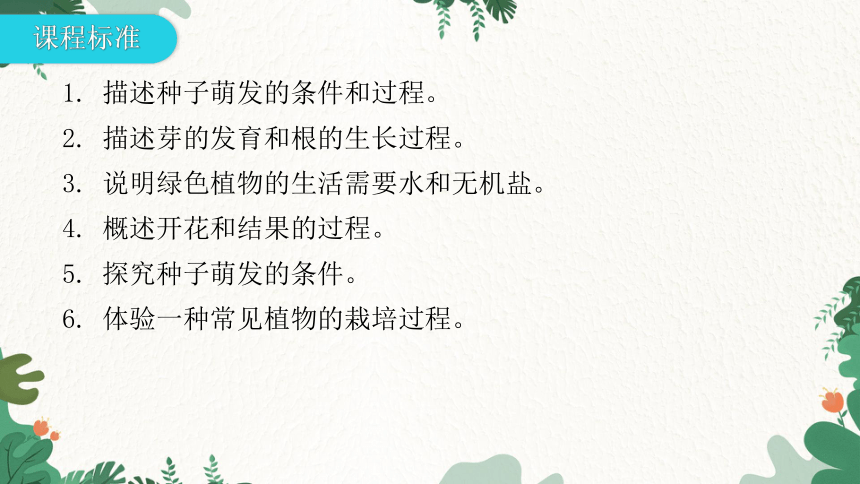 人教版生物七年级上册 第三单元生物圈中的绿色植物章末总结第二章被子植物的一生课件(共31张PPT)