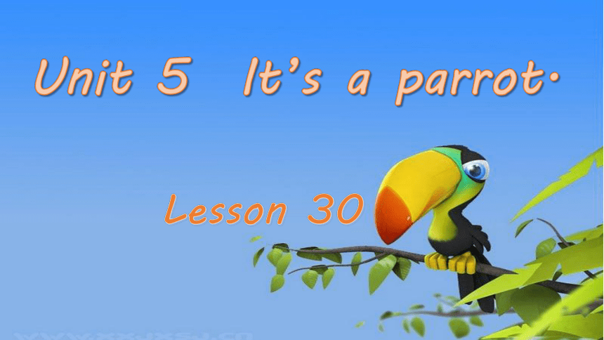 Unit 5  It's a parrot.  Lesson 30 Revision 课件（20张PPT）