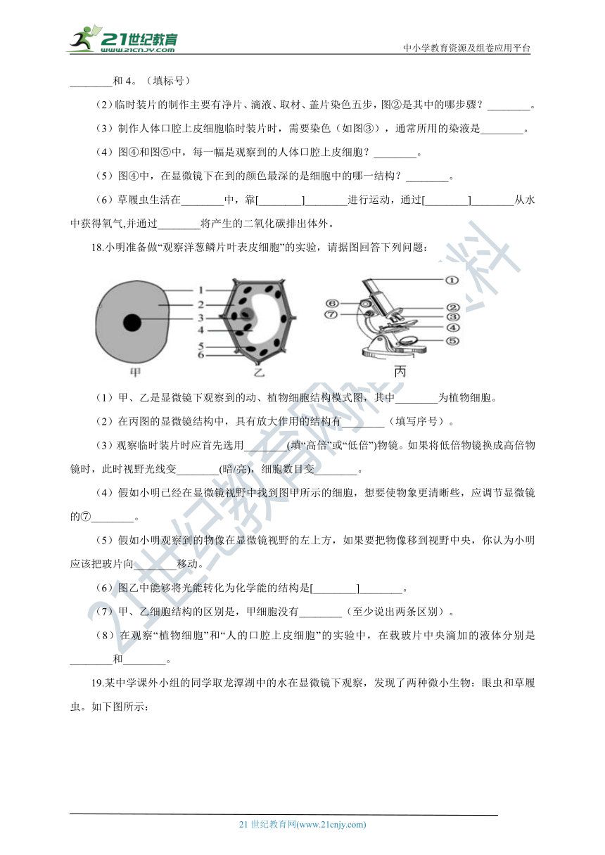 苏科版2021初中生物七下 期中模拟测试卷（含解析）