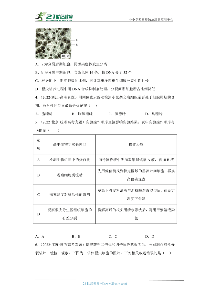 五年2018-2022高考生物真题按知识点分类汇编26-细胞周期与有丝分裂（含解析）