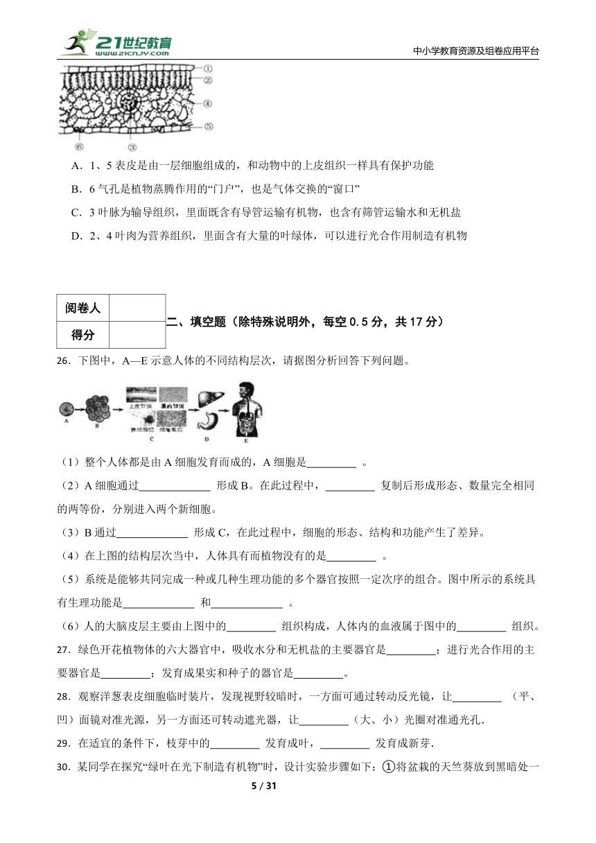 北师大版生物七年级上册期末模拟试卷（一）（含解析）