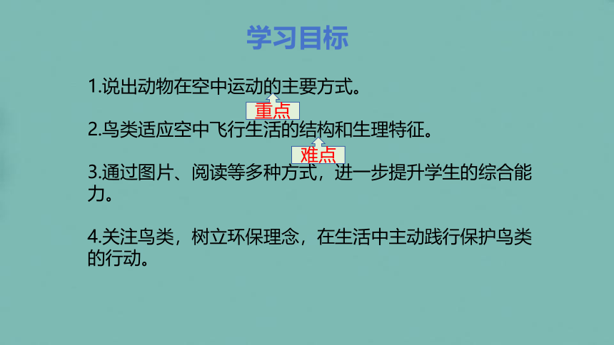 5.15.1动物运动的方式（第二课时）课件((共24张PPT) 北师大版生物八年级上册