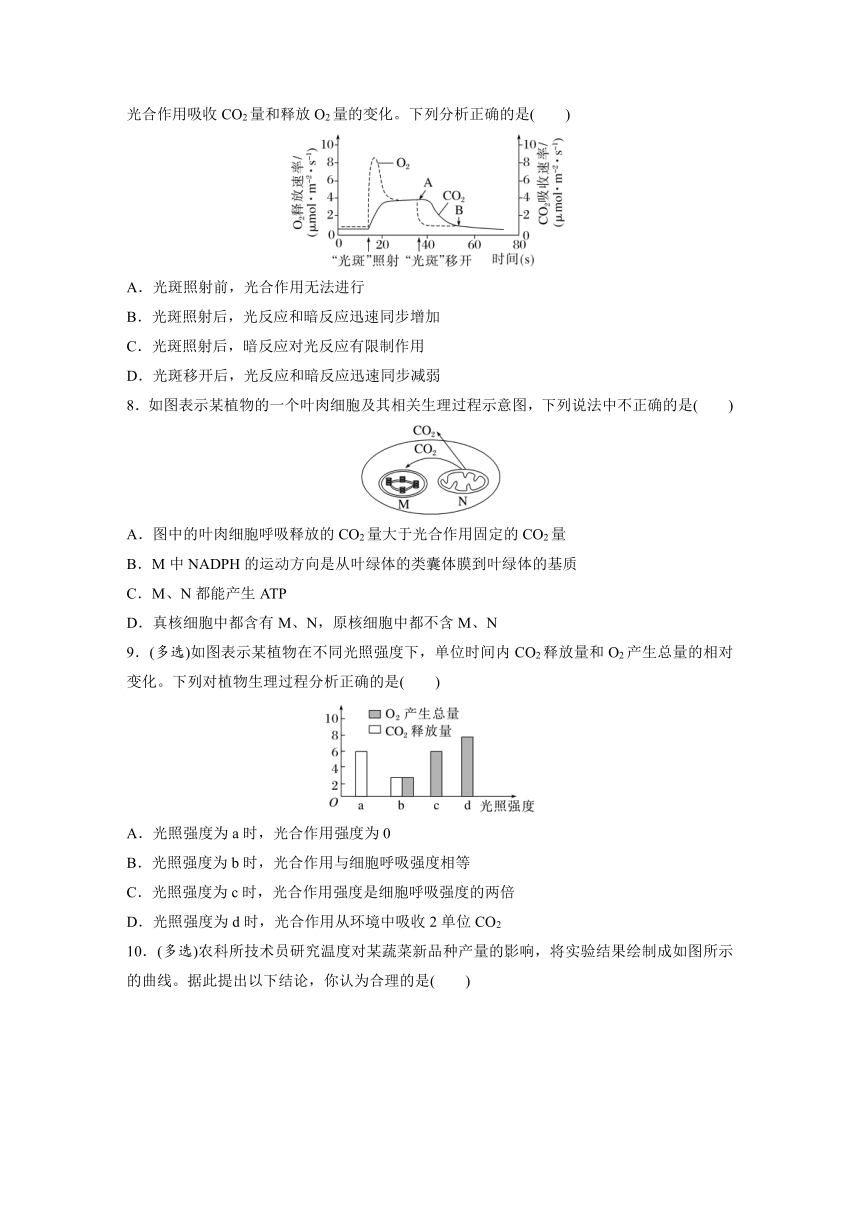 2022-2023学年苏教版2019高中生物必修1 第三章　细胞中能量的转换和利用  重点突破练(三)（word版含解析）