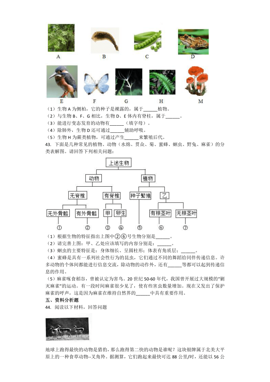 生物北师大版八年级下册 第七单元 生命的演化 单元习题（word版含解析）