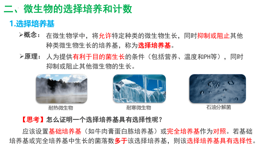 1.2.2微生物的培养技术及应用课件2(共29张PPT)022-2023学年高二下学期生物人教版选择性必修3