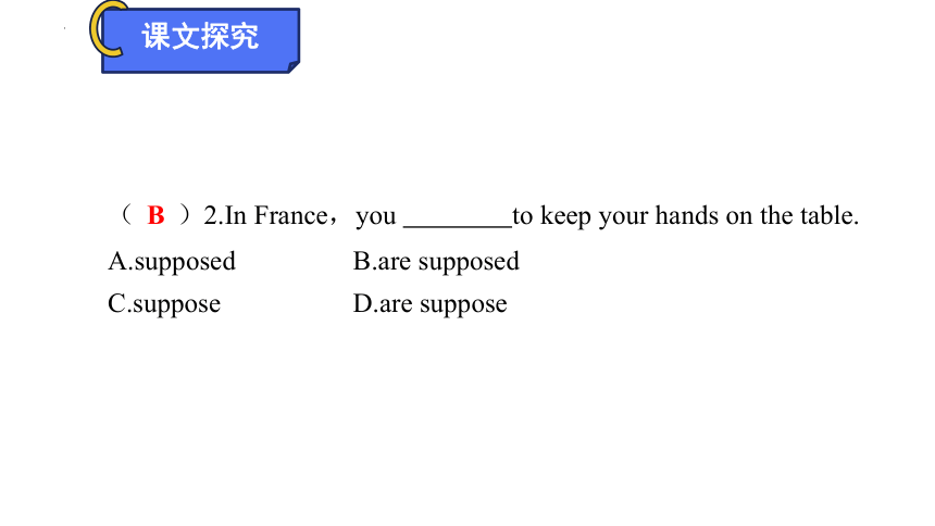 Unit 10  I like music that I can dance to.Section A 1a～2d  知识点讲解课件(共21张PPT)- 2023-2024学年英语人教新目标版九年级全