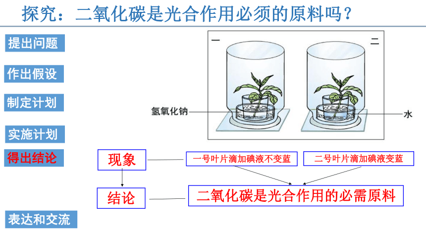 2022-2023学年人教版七年级生物上册 3.5.1光合作用吸收二氧化碳释放氧气 课件   (共20张PPT)