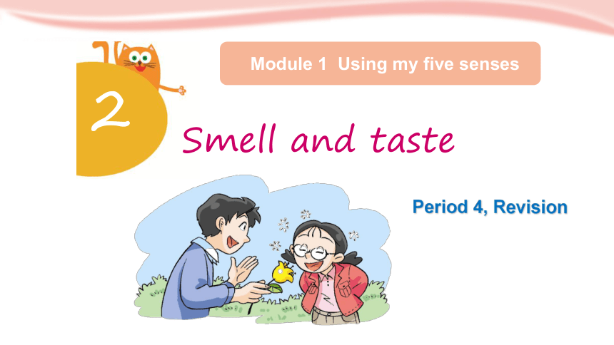 Module 1 Unit 2 Smell and taste Period 4课件(共11张PPT)