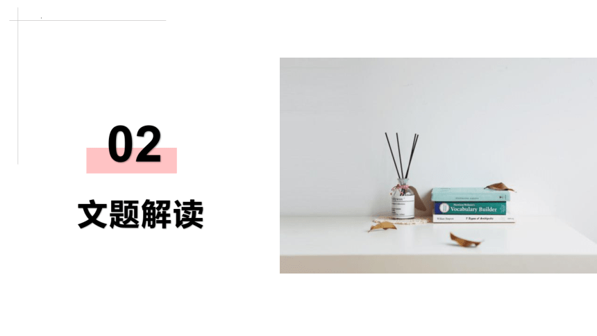 2021-2022学年统编版高中语文选择性必修下册9.2《项脊轩志》（课件88张）