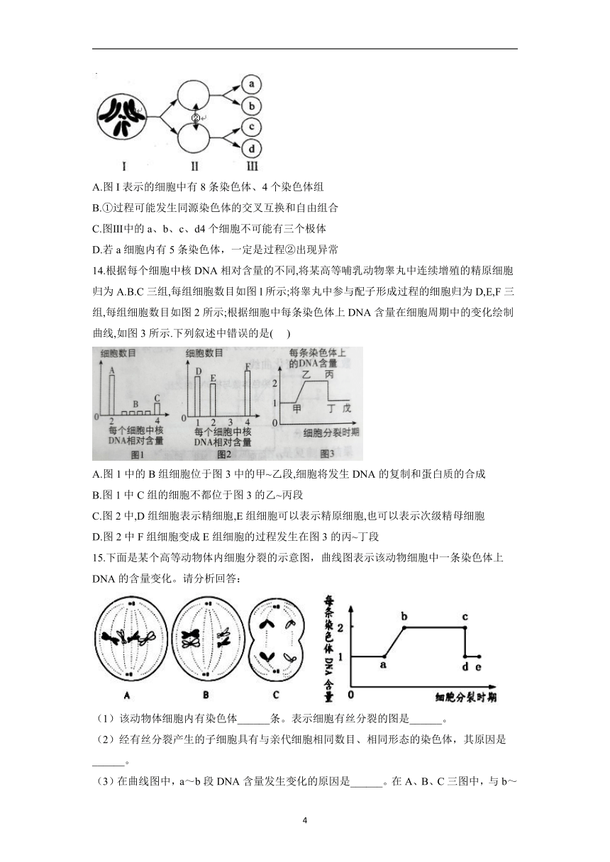 3.2减数分裂与配子形成课时作业2021-2022学年高一下学期生物北师大版必修2（含答案）