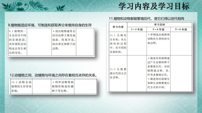 2020秋粤教粤科版科学四年级上册 第一单元《生命的延续》教材分析 课件（50张PPT）