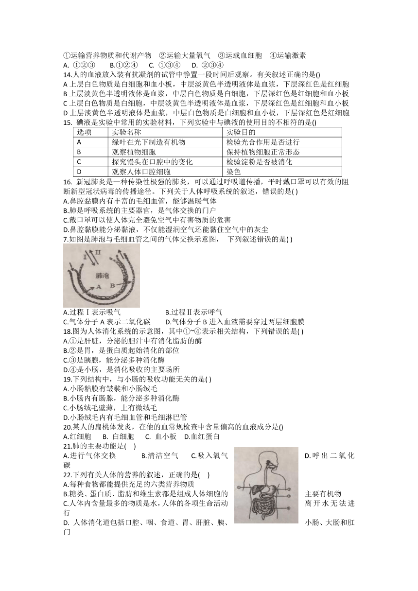 广东省云浮市新兴县2021-2022学年七年级下学期期中考试生物试题 (word版  含答案）