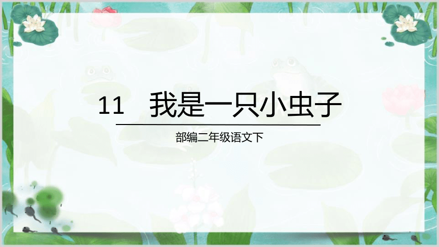 11我是一只小虫子 课件(共27张PPT)