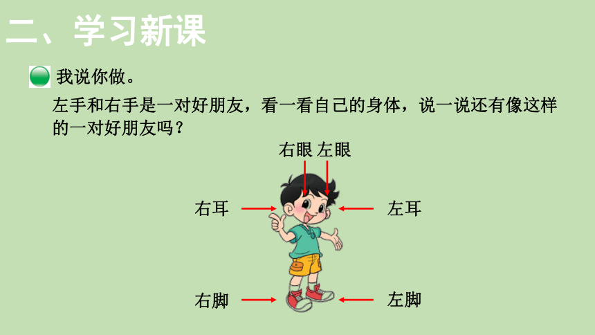 北师大版数学一年级上册5.3 左右  课件（24张ppt）