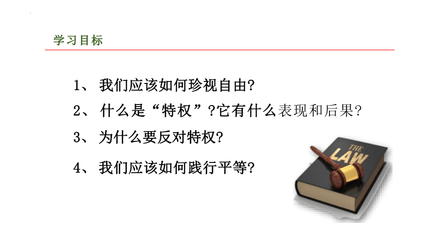 7.2 自由平等的追求 课件(共22张PPT)-2023-2024学年统编版道德与法治八年级下册