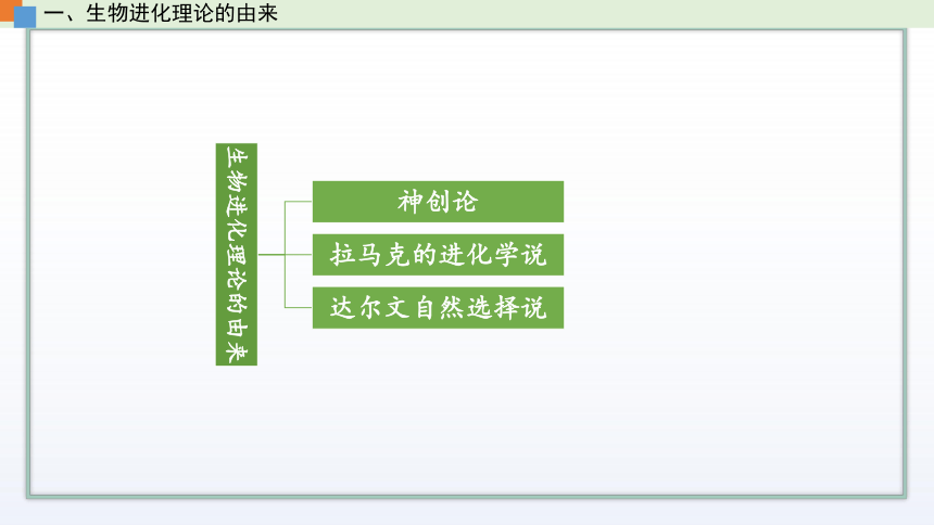 4.1 生物进化理论（第1课时）课件(共21张PPT)  高中生物新苏教版必修2