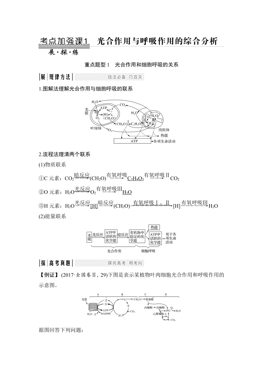 高中生物学一轮复习学案：光合作用与呼吸作用的综合分析