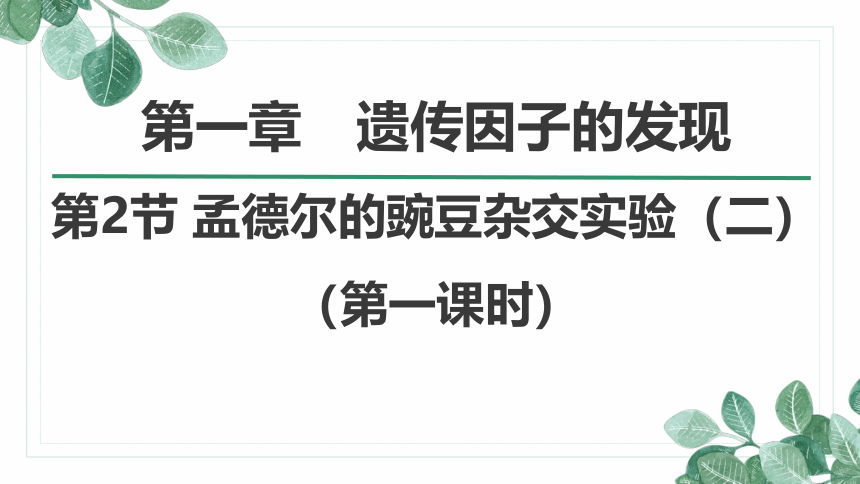 1.2孟德尔的豌豆杂交实验（二）-2020-2021学年高一生物人教版（2019）必修2课件（40张ppt）