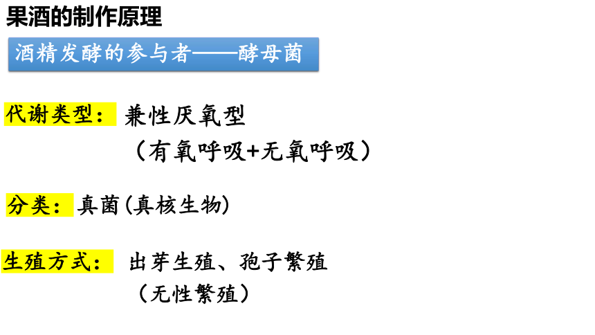 生物人教版选修1-1.1果酒和果醋的制作课件(23张PPT）