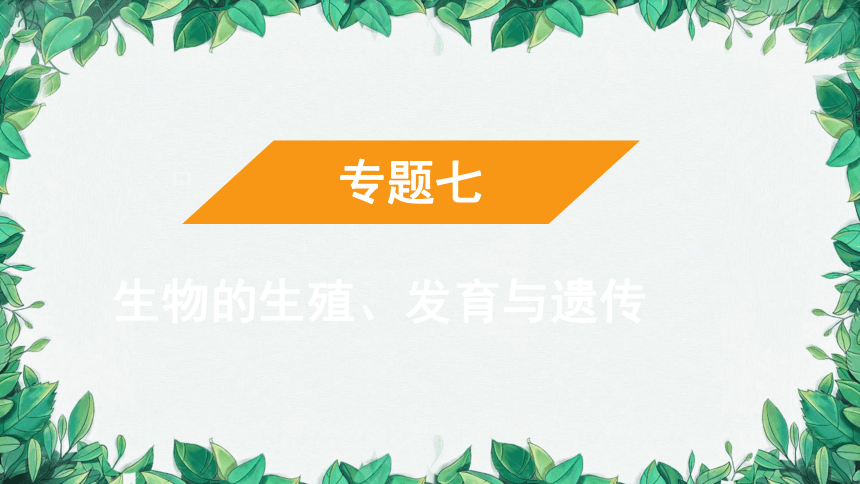 2023年中考生物复习 课题五 遗传变异与遗传病课件(共31张PPT)