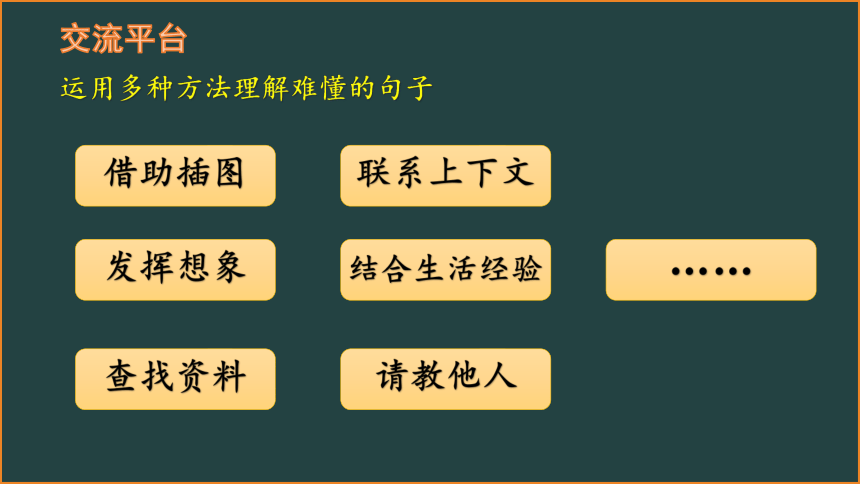 部编版三年级下册语文第六单元复习课件 （18张ppt）