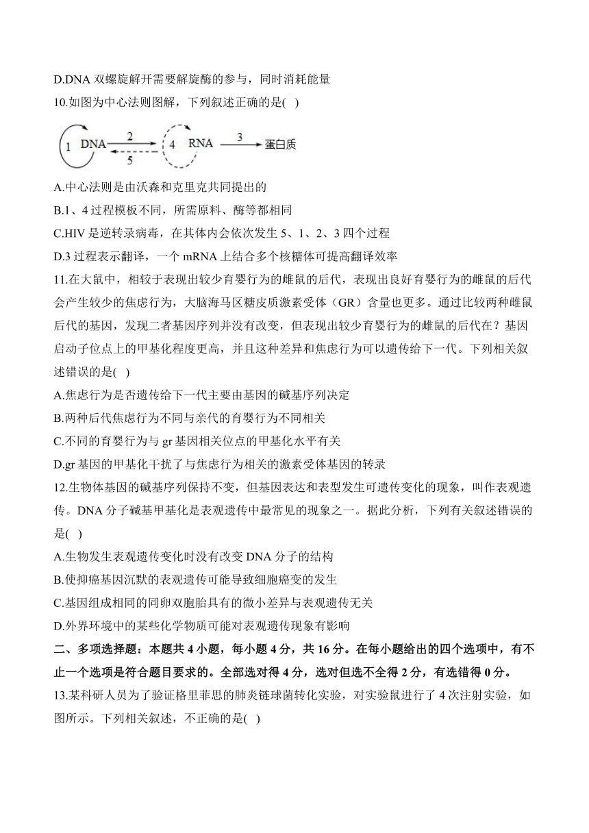 2024 届高考生物学核心考点小题限时练：遗传的分子基础（含解析）