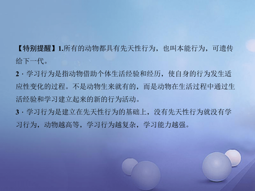 人教版 八上 第五单元 第二章  动物的运动和行为复习 课件（共48张PPT）