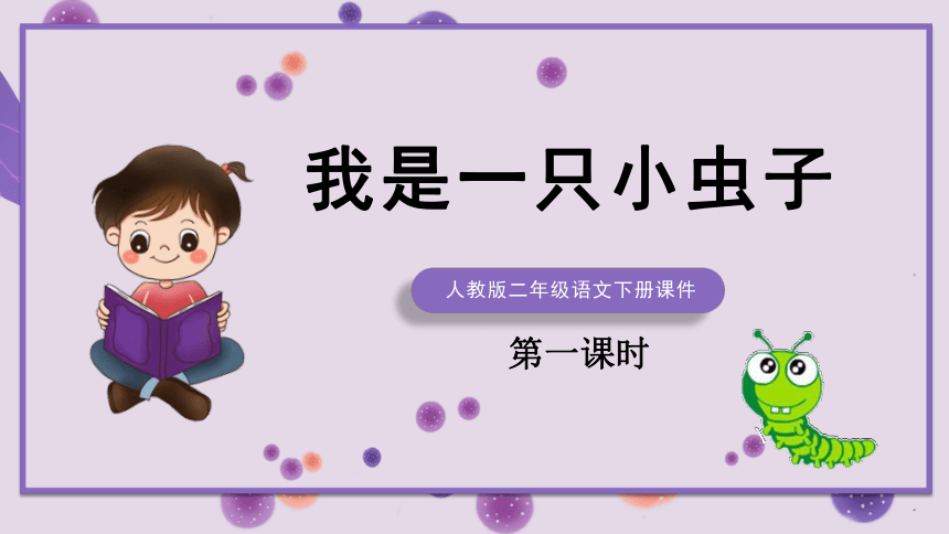 11.我是一只小虫子  课件(共19张PPT)