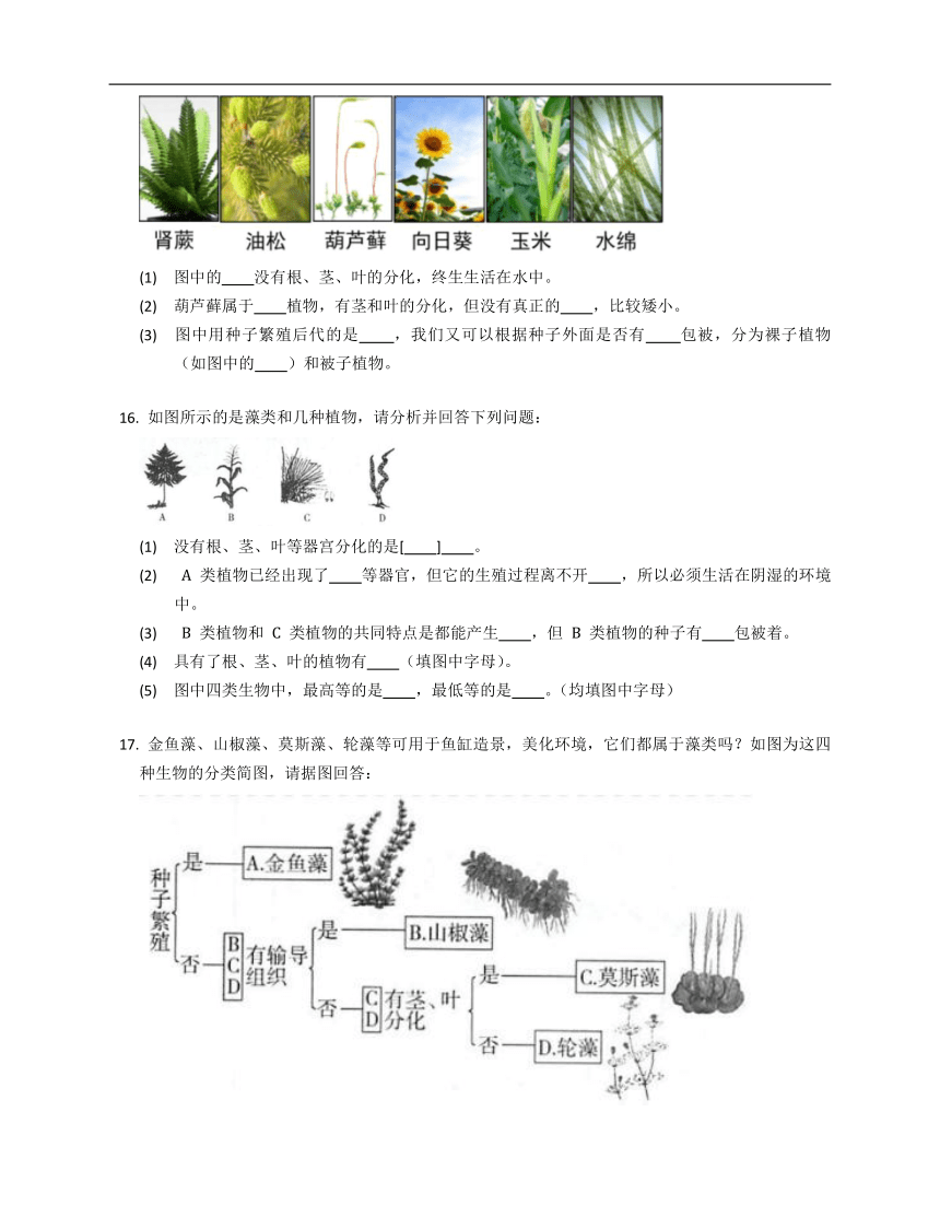 济南版七年级上2.1.1绿色植物的主要类群同步练习（含答案）