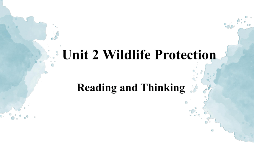人教版（2019）必修二 Unit 2 Wildlife Protection Reading and Thinking ＆Listening and Talking 课件(共25张PPT)