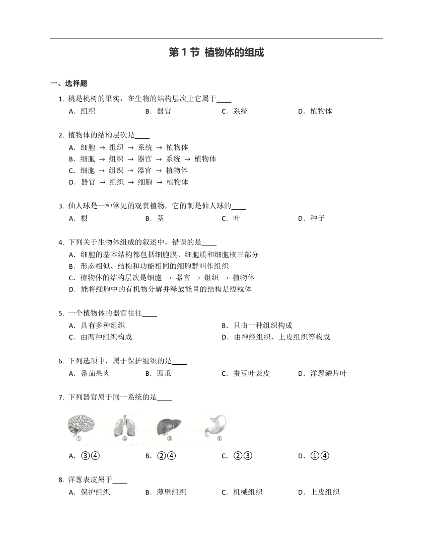 4.9.1植物体的组成 同步练习（含答案）苏科版